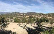 Reventa - Finca -
Lorca - Costa Calida