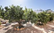 Herverkoop - Villa -
La Regia - Costa Blanca