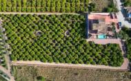 Herverkoop - Finca Country Property -
Orihuela
