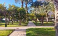 Resale - Apartment -
Torrevieja - Playa Los Locos