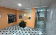 Herverkoop - Apartment -
Torrevieja - Costa Blanca