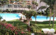 Resale - Apartment -
Benidorm - Rincón de Loix