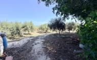Herverkoop - Country House -
La Marina - Costa Blanca