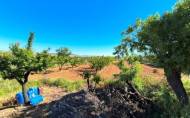 Reventa - Country House -
Yecla - Inland