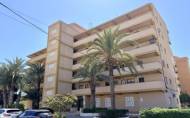 Reventa - Apartment -
Guardamar del Segura - Costa Blanca