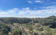 Reventa - Villa -
Guardamar del Segura - Costa Blanca