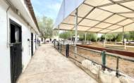 Herverkoop - Finca / Country Property -
Orihuela