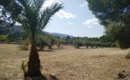 Revente - Country House -
Ontinyent