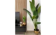 Herverkoop - Apartment -
Torre Pacheco - Santa Rosalia Lake And Life Resort