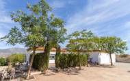 Revente - Finca -
Entrerrios - Inland