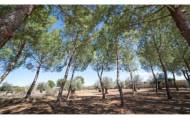 Revente - Villa -
Yecla - Inland