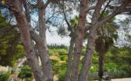 Resale - Villa -
Torrevieja - Los Balcones