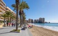 Herverkoop - Penthouse -
Torrevieja - Centro