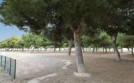 Reventa - Bungalow -
San Pedro del Pinatar - Costa Calida