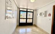 Reventa - Apartment -
La Zenia - Costa Blanca