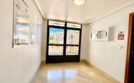 Reventa - Apartment -
La Zenia - Costa Blanca