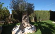 Revente - Villa -
Ciudad Quesada - Costa Blanca