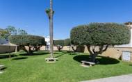 Reventa - Apartment -
Torrevieja - Costa Blanca