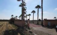 Herverkoop - Finca -
Dolores - Comunidad Valenciana
