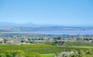 Resale - Villa -
San Miguel de Salinas - Inland