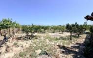 Herverkoop - Country House -
La Marina - Costa Blanca