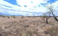 Resale - Country House -
Yecla - Inland
