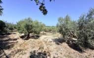 Herverkoop - Country House -
La Marina - Costa Blanca