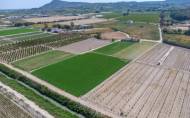 Herverkoop - Finca -
Orihuela - Desamparados-hurchillo-torremendo