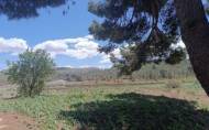 Herverkoop - Country House -
Yecla - Inland