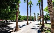 Herverkoop - Apartment -
Torrevieja - Centro