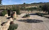 Reventa - Finca -
Lorca - Costa Calida
