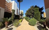 Herverkoop - Apartamento -
Guardamar del Segura - Avenida del Puerto