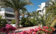 Reventa - Apartment -
Orihuela Costa - Los Dolses