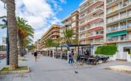 Reventa - Apartment -
Torrevieja