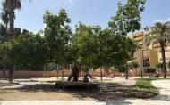 Herverkoop - Apartment -
Torrevieja - Playa del Cura