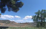 Herverkoop - Country House -
Yecla - Inland