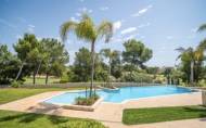 Herverkoop - Apartment -
Pilar de la Horadada - Costa Blanca