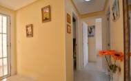 Reventa - Apartment -
Guardamar del Segura - Costa Blanca