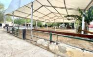 Herverkoop - Finca / Country Property -
Orihuela