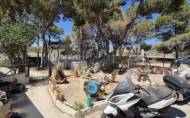 Resale - Villa -
Torrevieja - Los Balcones