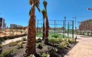 Herverkoop - Apartment -
Torrevieja - Punta Prima