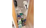 Herverkoop - Apartment -
Novelda - Barrio San Roque